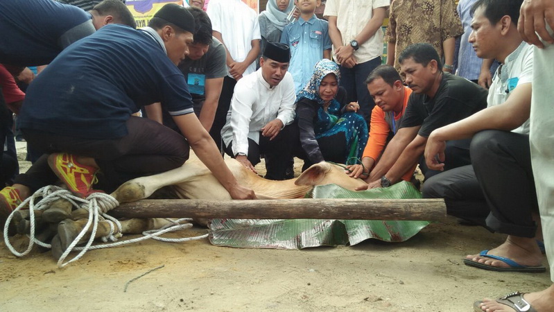 Polresta Pekanbaru Qurban Sapi 12 Ekor dan Kambing 5 Ekor